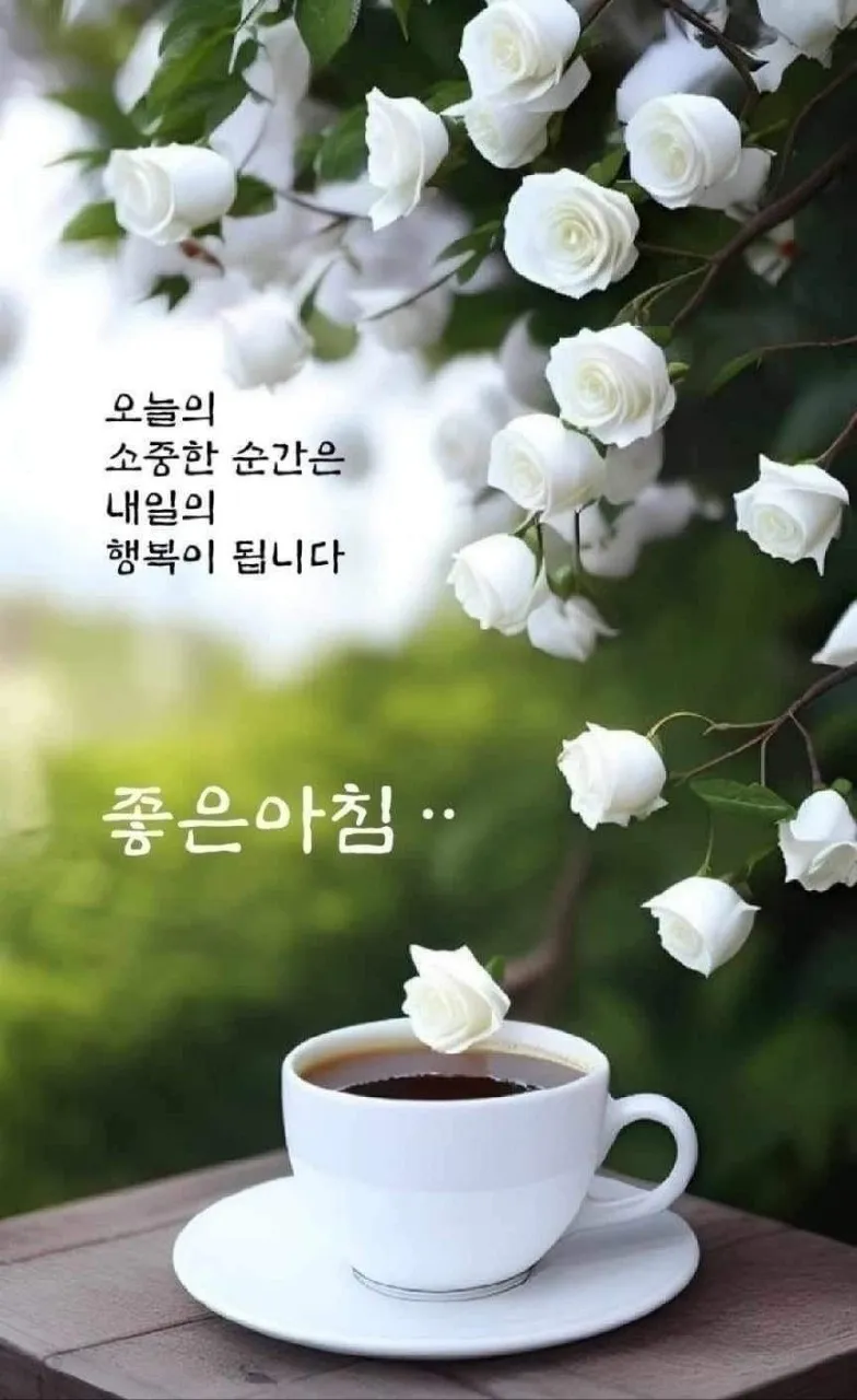 오글오글